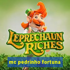 mc pedrinho fortuna